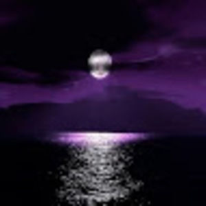 Meet your Posher, Judy